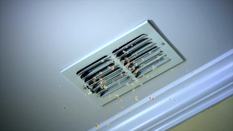 Best Affordable Air Duct Cleaning  in Lincolnia, VA