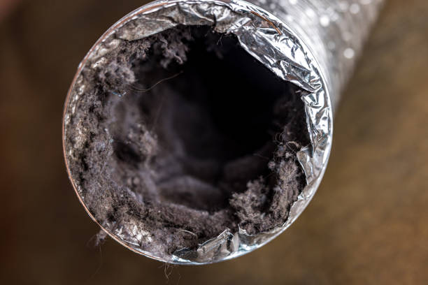 Best Commercial HVAC Duct Cleaning  in Lincolnia, VA